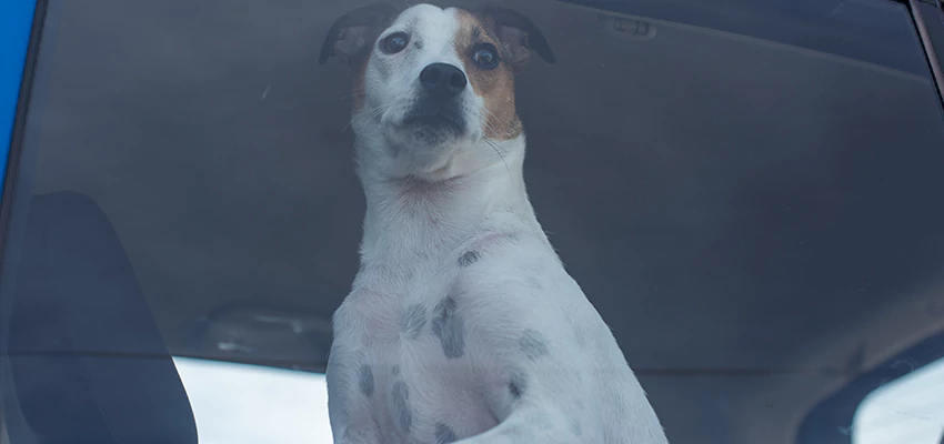 Car Lockout Solutions in Highland, California